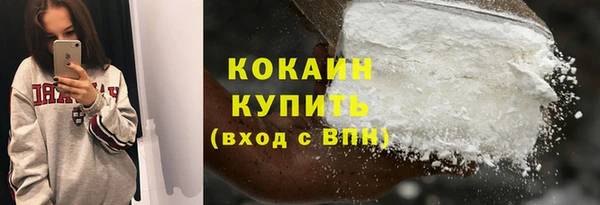 шишки Богородицк