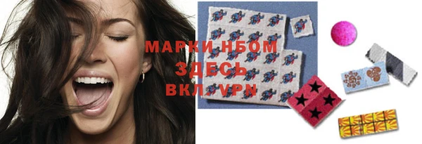 шишки Богородицк