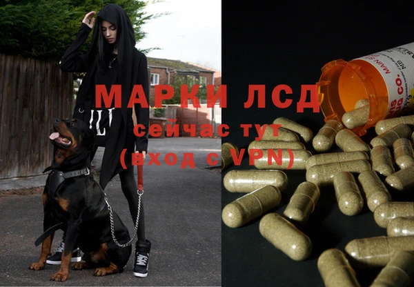 герыч Богданович