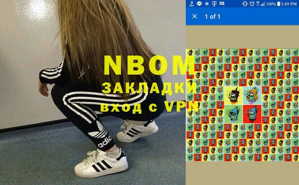 шишки Богородицк