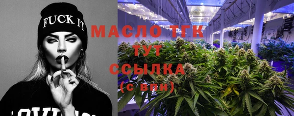 шишки Богородицк