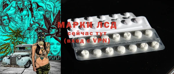 шишки Богородицк