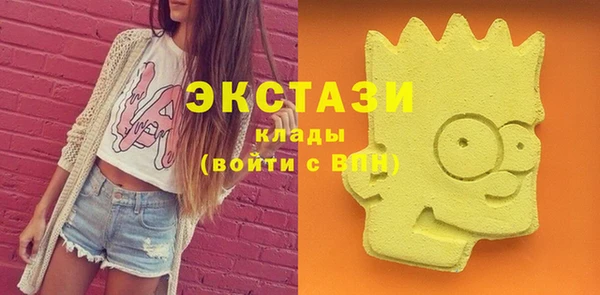 шишки Богородицк