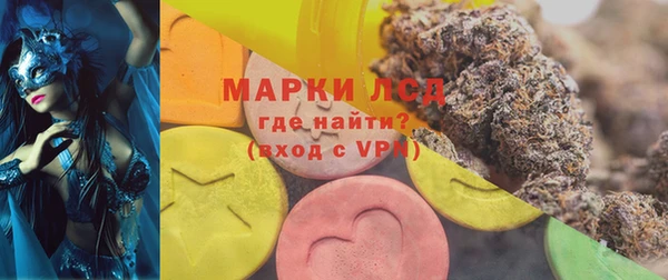 шишки Богородицк
